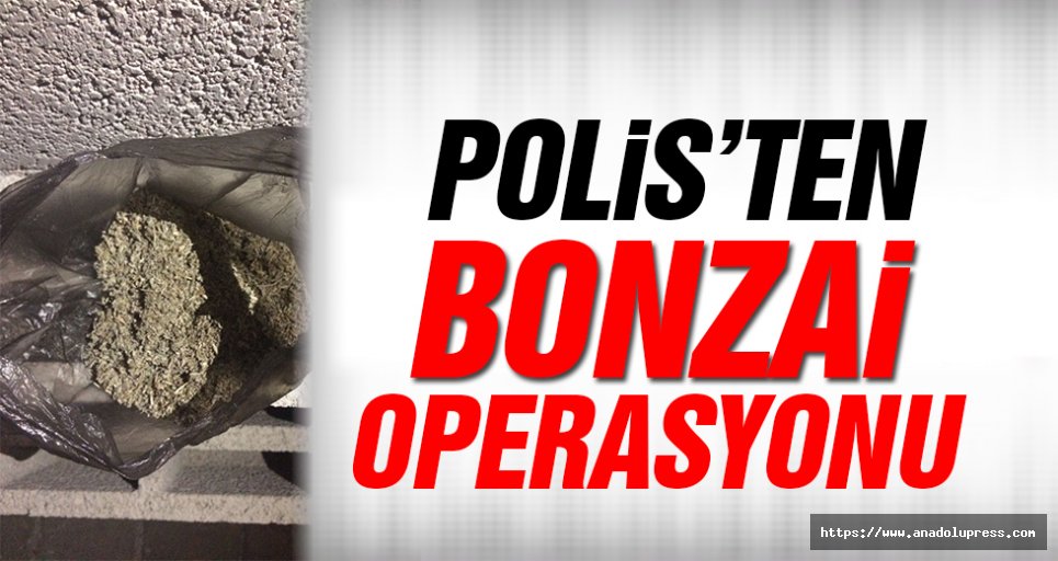 Polisten Bonzai operasyonu