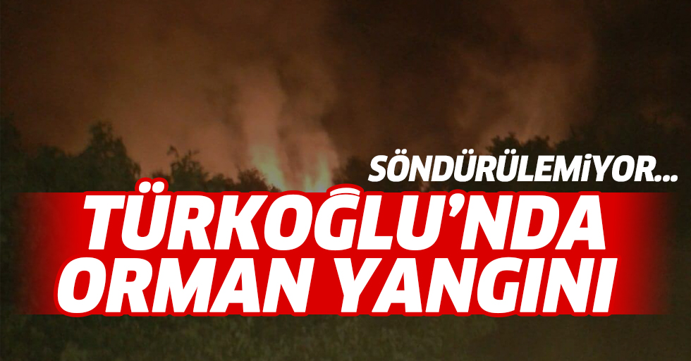 Türkoğlu'nda Orman yangını! Tüm müdahalelere rağmen devam ediyor