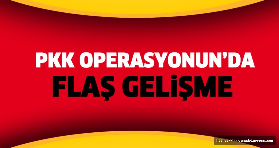 PKK operasyonunda 8 tutuklama