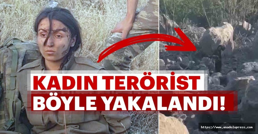 Bitlis şehidinin katili kadın terörist böyle yakalandı