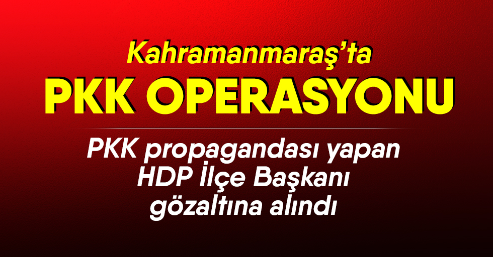 PKK propagandası yapan HDP İlçe Başkanı gözaltına alındı