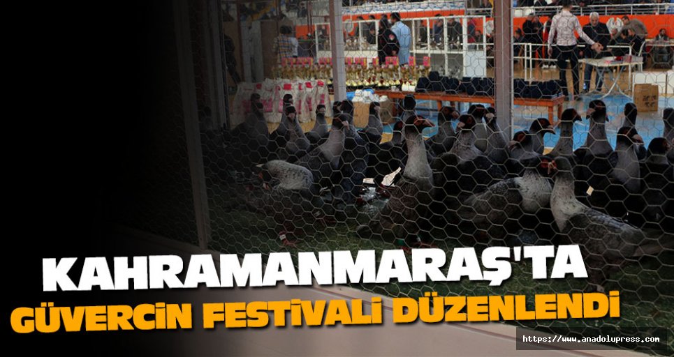 Kahramanmaraş'ta Güvercin Festivali Düzenlendi