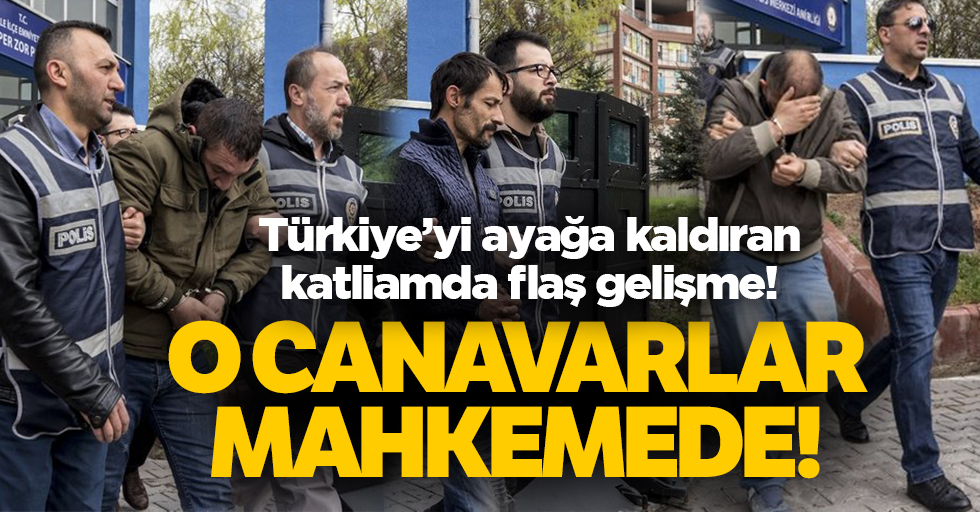 Ankara'da sokak köpeklerini zehirleyenler mahkemede!