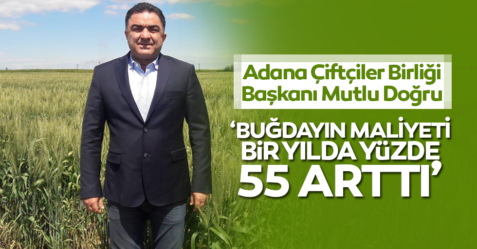 Adana Çiftçiler Birliği Başkanı Mutlu Doğru: ‘Buğdayın maliyeti bir yılda yüzde 55 arttı’