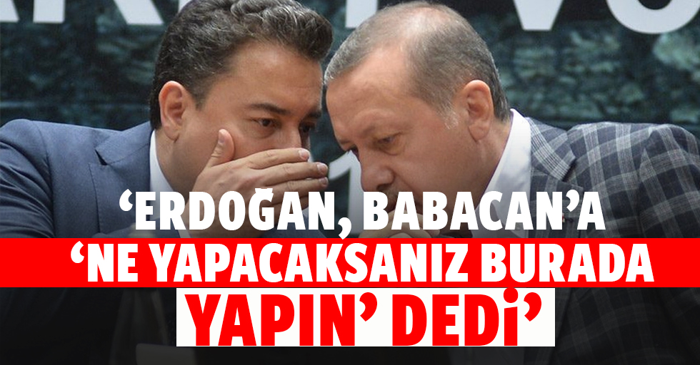 ‘Erdoğan, Babacan’a ‘ne yapacaksanız burada yapın’ dedi’
