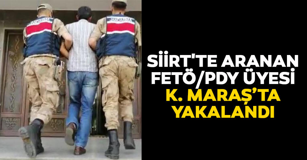Siirt'te Aranan Fetö/Pdy Üyesi Kahramanmaraş'ta Yakalandı
