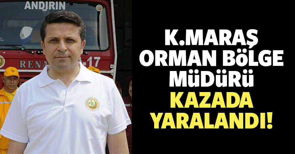 Kahramanmaraş Orman Bölge Müdürü kazada yaralandı!