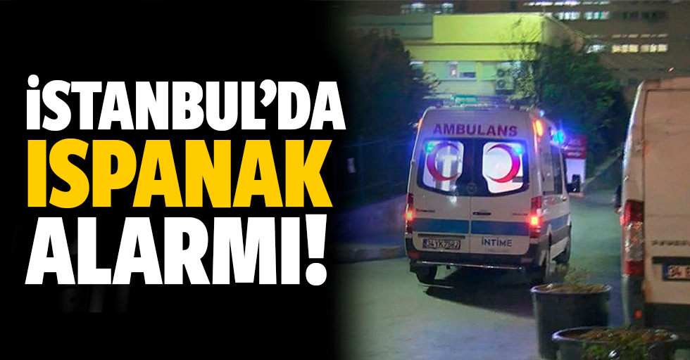 İstanbul’da ıspanak alarmı! Onlarca kişi hastanelik oldu