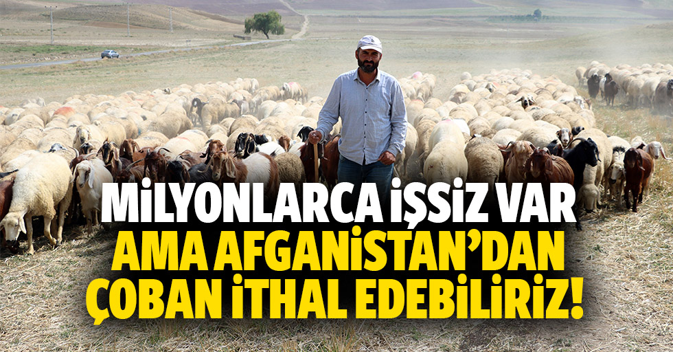 Milyonlarca işsiz var ama Afganistan’dan çoban ithal edebiliriz!