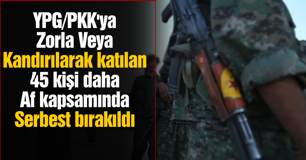 YPG/PKK'ya zorla veya kandırılarak katılan 45 kişi daha af kapsamında serbest bırakıldı