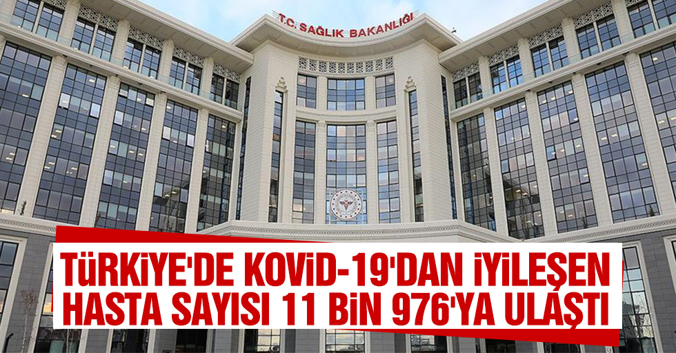 Türkiye'de Kovid-19'dan İyileşen Hasta Sayısı 11 Bin 976'ya Ulaştı