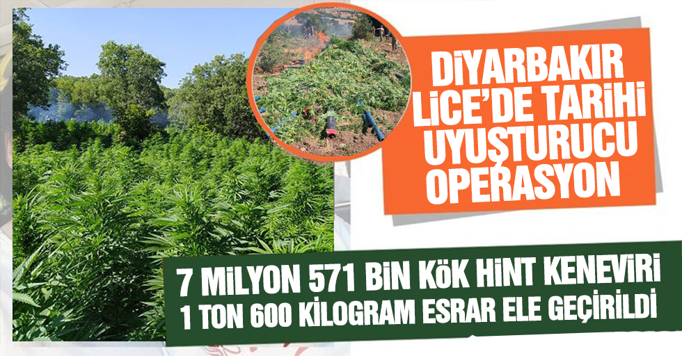 Diyarbakır Lice'de 7 milyon 571 bin kök Hint keneviri ile 1 ton 600 kilogram esrar ele geçirildi