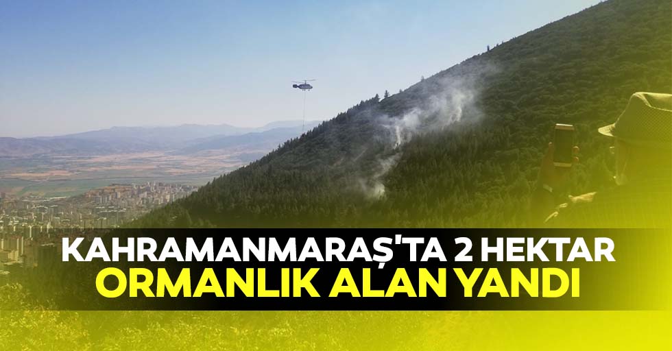 Kahramanmaraş'ta 2 hektar ormanlık alan yandı