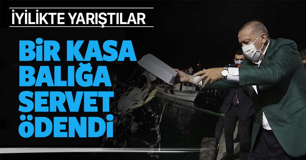 Başkan Erdoğan'ın başlattığı açık artırmada bir kasa balık 1.7 milyon TL'ye alıcı buldu