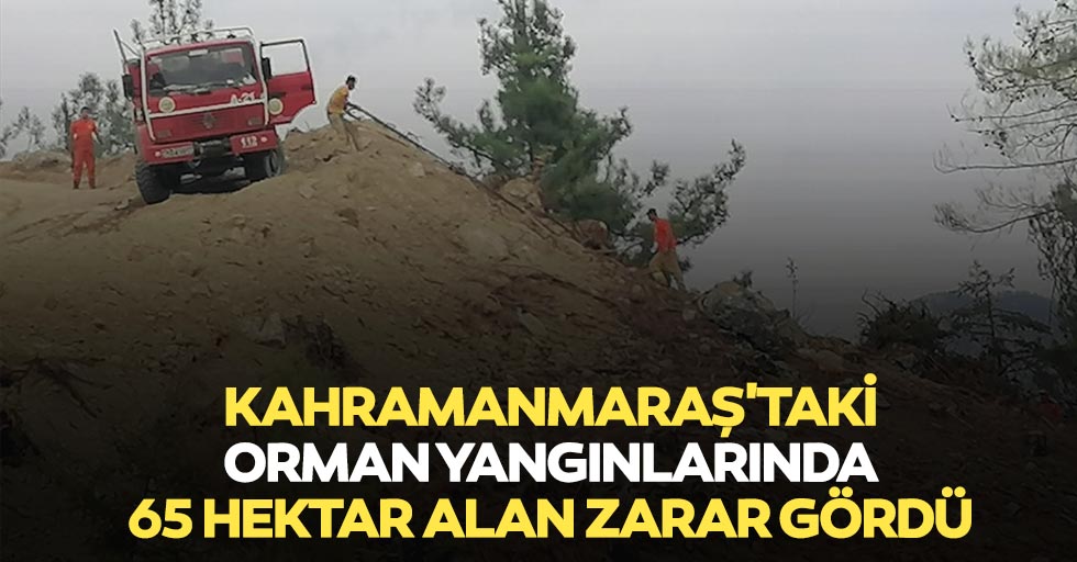 Kahramanmaraş'taki orman yangınlarında 65 hektar alan zarar gördü
