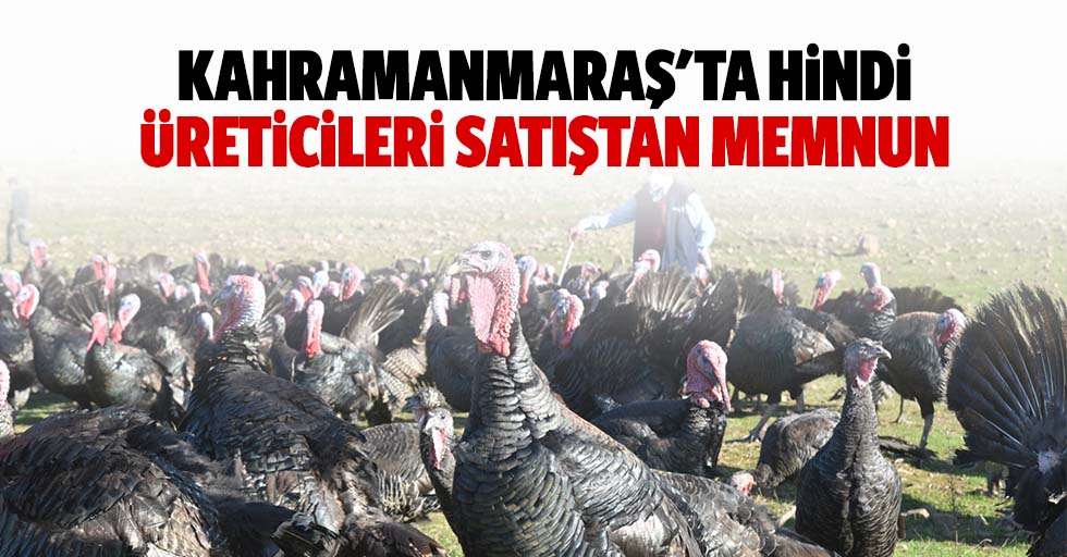 Kahramanmaraş'ta hindi üreticileri satıştan memnun