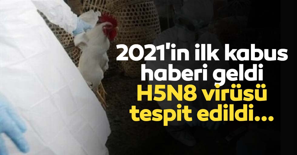 2021'in ilk kabus haberi geldi: H5N8 virüsü tespit edildi...