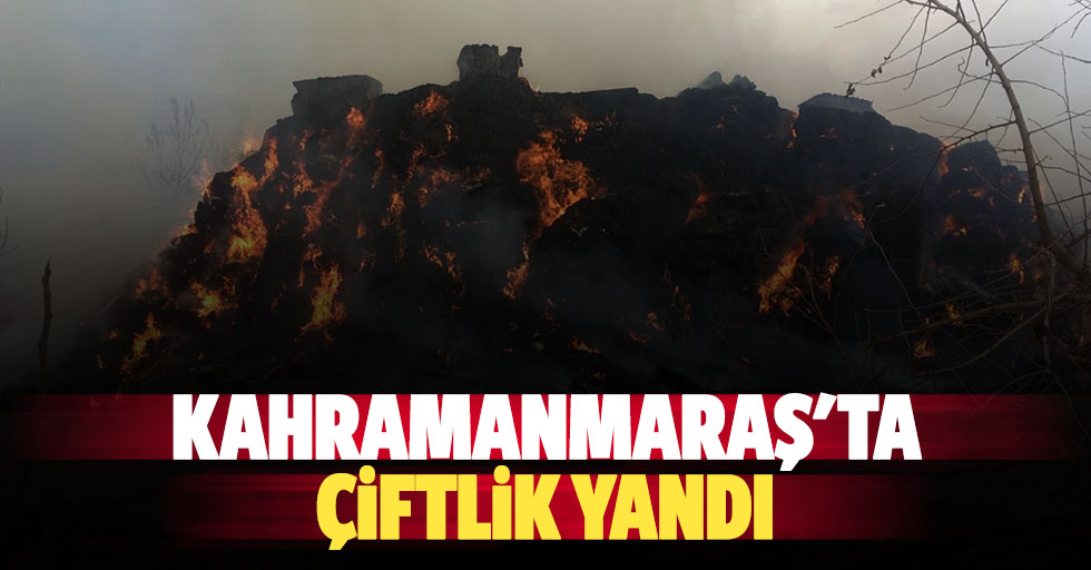Kahramanmaraş'ta çiftlik yandı