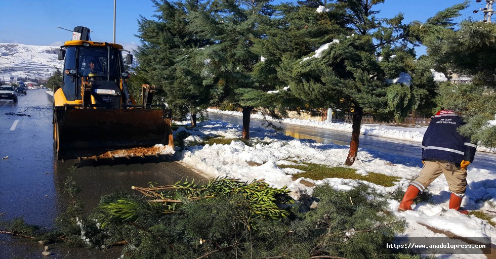 Kar devirdi Büyükşehir temizledi