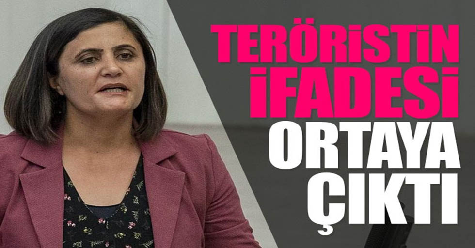 HDP'li vekili Gara'da gördüğünü söyleyen teröristin ifadesi ortaya çıktı