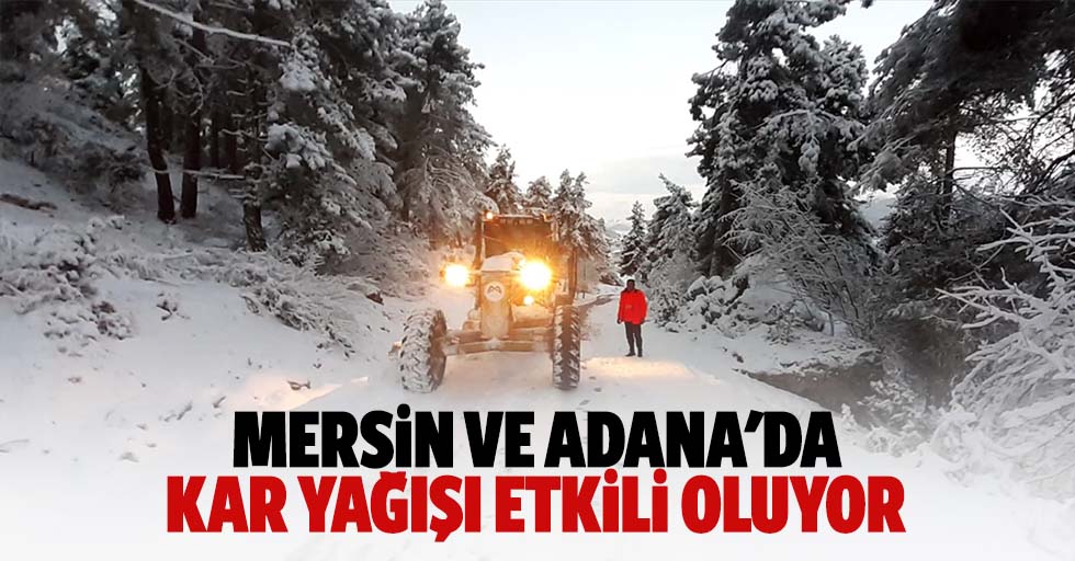 Mersin Ve Adana'da Kar Yağışı Etkili Oluyor