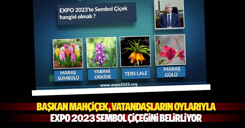 Başkan Mahçiçek, vatandaşların oylarıyla EXPO 2023 sembol çiçeğini belirliyor