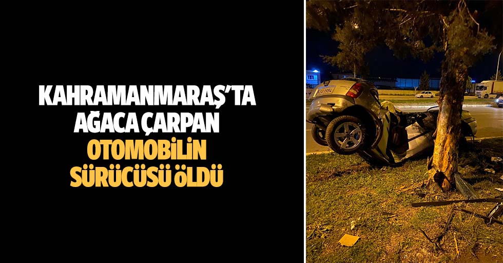 Kahramanmaraş'ta ağaca çarpan otomobilin sürücüsü öldü