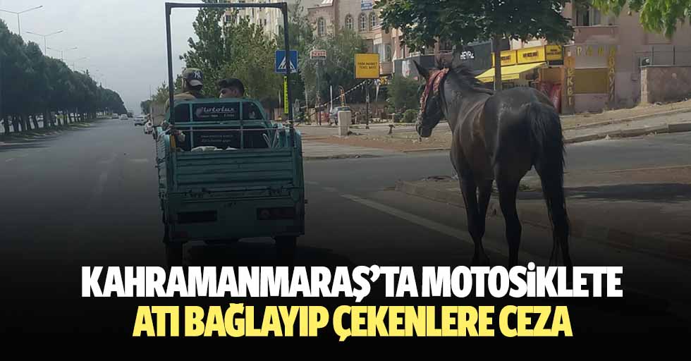 Kahramanmaraş’ta motosiklete atı bağlayıp çekenlere ceza