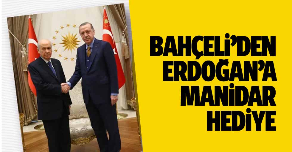 MHP Lideri Devlet Bahçeli'den, Cumhurbaşkanı Erdoğan'a manidar hediye