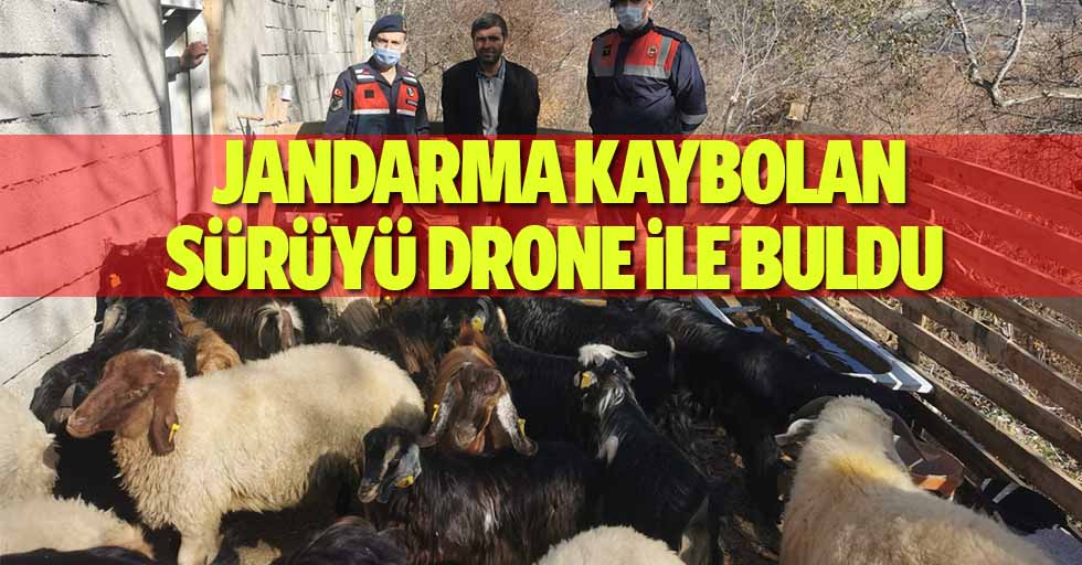 Jandarma kaybolan sürüyü drone ile buldu