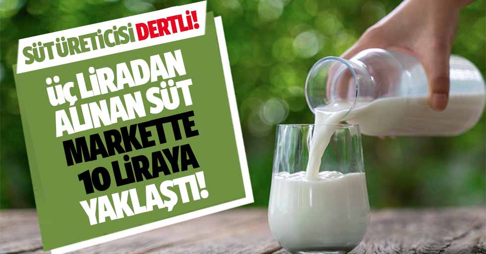 Süt üreticisi dertli! 3 liradan alınan süt markette 10 liraya yaklaştı!