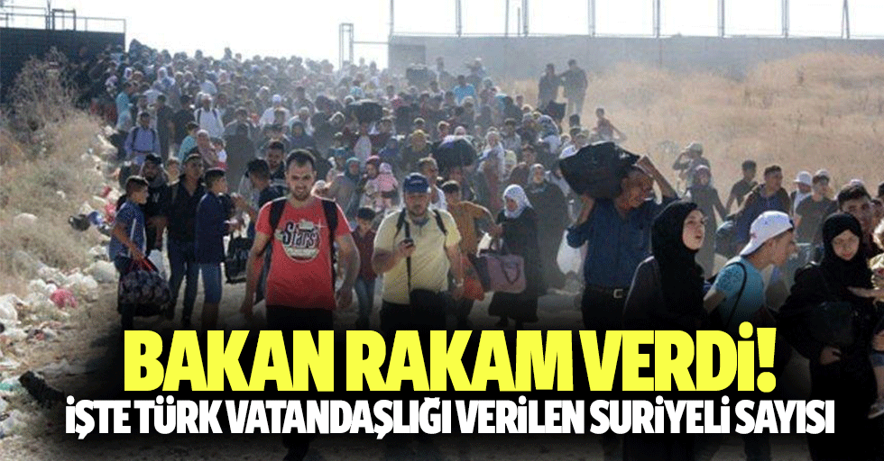 Bakan rakam verdi! İşte Türk vatandaşlığı verilen Suriyeli sayısı