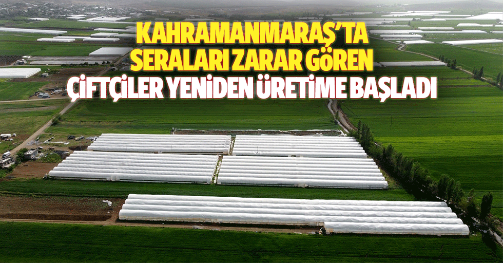 Kahramanmaraş'ta seraları zarar gören çiftçiler yeniden üretime başladı
