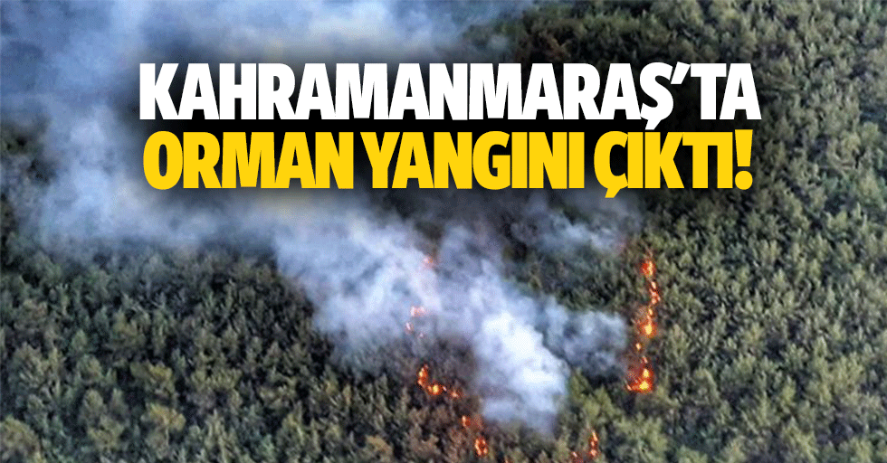 Kahramanmaraş'ta orman yangını!