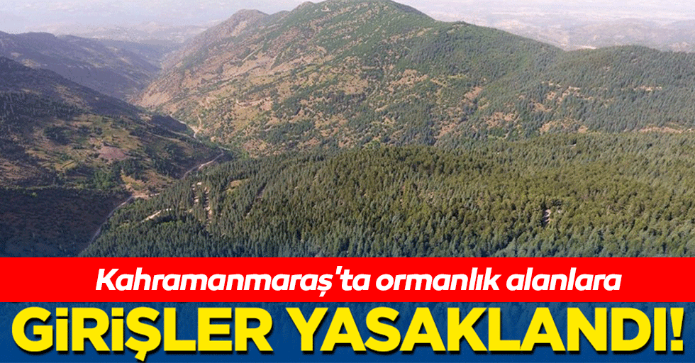 Kahramanmaraş'ta ormanlık alanlara girişler 31 Ekim'e kadar yasaklandı