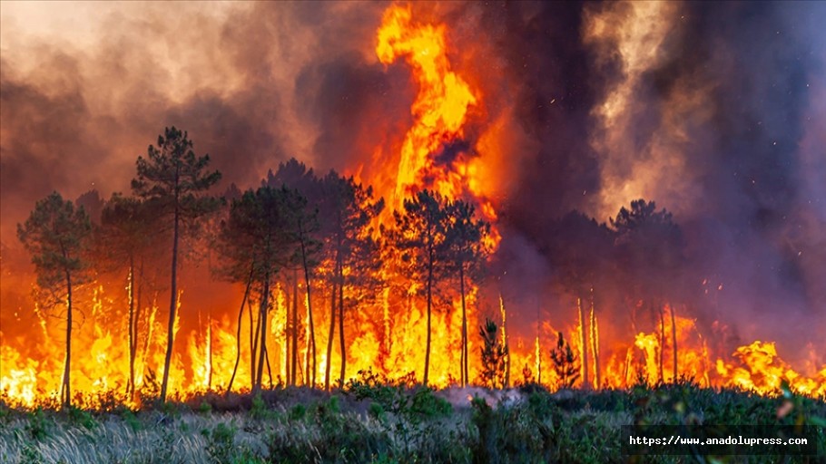 Avrupa'da orman yangınları etkisini sürdürüyor