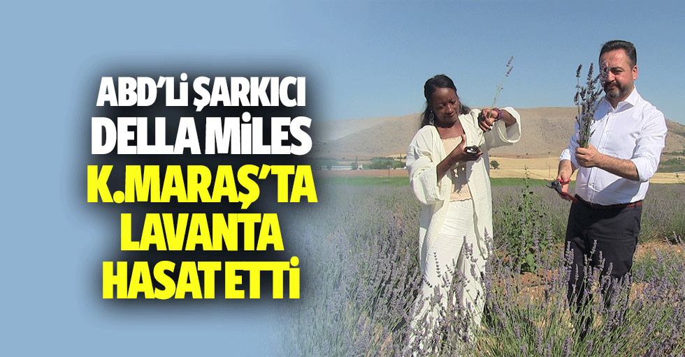 ABD'li şarkıcı Della Miles, Kahramanmaraş'ta lavanta hasat etti