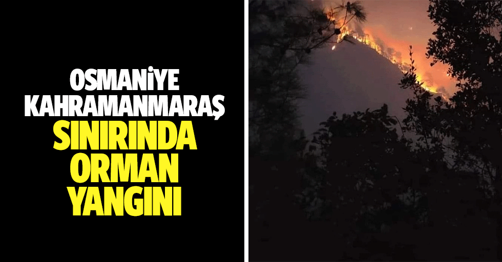 Osmaniye-Kahramanmaraş Sınırında Orman Yangını