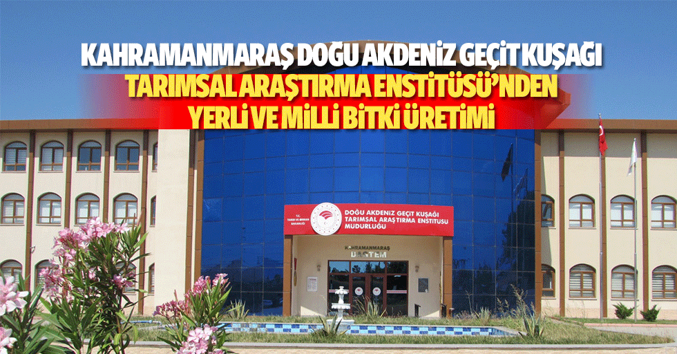 Kahramanmaraş Doğu Akdeniz Geçit Kuşağı Tarımsal Araştırma Enstitüsü’nden Yerli Ve Milli Bitki Üretimi