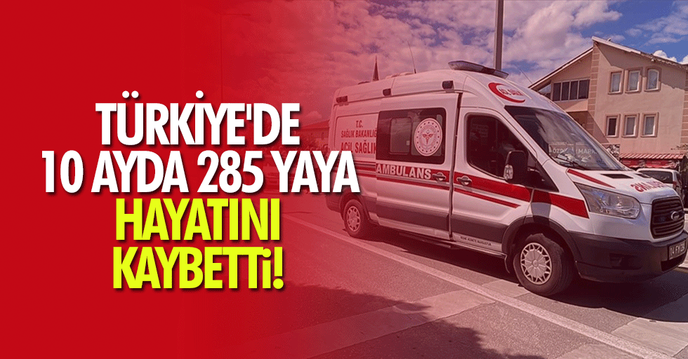 Türkiye'de 10 ayda 285 yaya hayatını kaybetti!