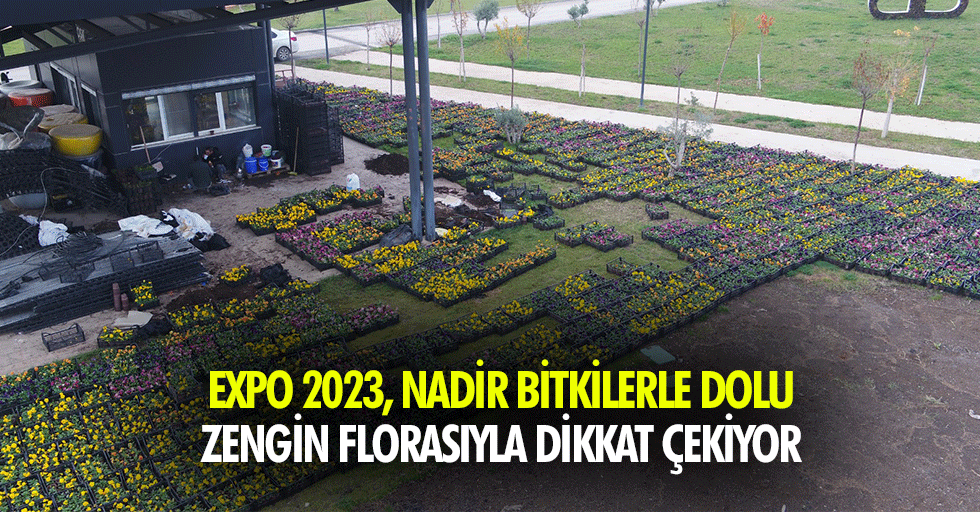 Expo 2023, Nadir Bitkilerle Dolu Zengin Florasıyla Dikkat Çekiyor