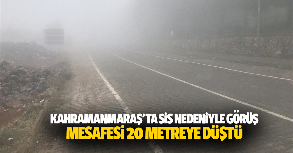 Kahramanmaraş'ta sis nedeniyle görüş mesafesi 20 metreye düştü