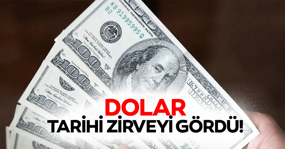 Dolar Tarihi Zirveyi Gördü
