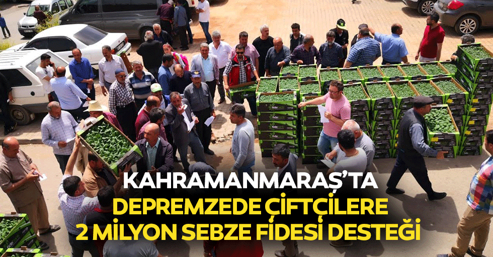 Kahramanmaraş’ta depremzede çiftçilere 2 milyon sebze fidesi desteği