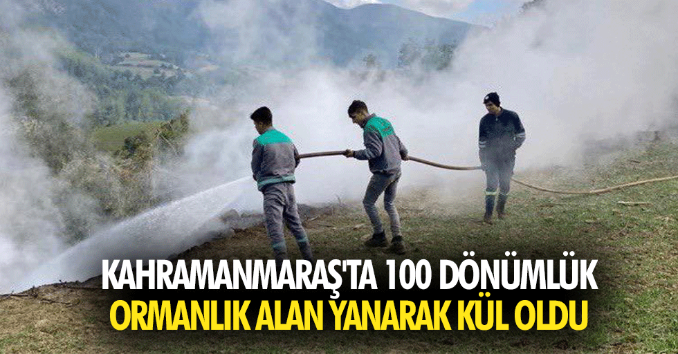 Kahramanmaraş'ta 100 dönümlük ormanlık alan yanarak kül oldu
