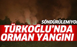 Türkoğlu'nda Orman yangını! Tüm müdahalelere rağmen devam ediyor