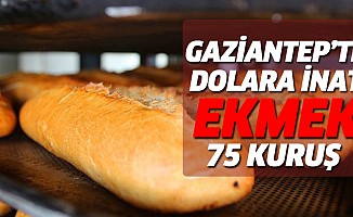 Gaziantep’te Dolara İnat, Ekmek 75 Kuruş