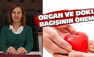 Organ Ve Doku Bağışının Önemi