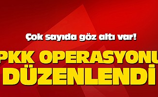 PKK operasyonu düzenlendi!