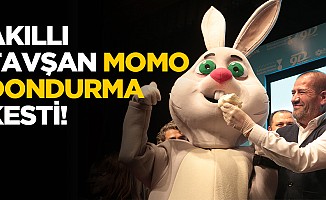 Akıllı tavşan Momo dondurma kesti!